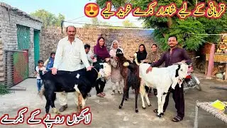 Qurbani Kay Ly Bakry Kareed Liy 😍 Ghir Main Kushi Ka Sama Lakuin Ropy Kay Bakary