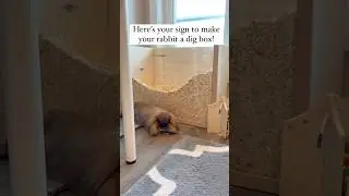 Here&rsquo;s your sign to make your rabbit a dig box! #rabbit #bunny #pets