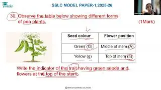 Model Question paper 1 - Science -  EM  - Qno 30