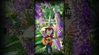 #musictrends #trending #2025 #ytshorts #popularmusic #ytshort #cute #music