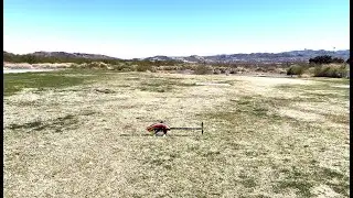 Goblin RAW Piuma - William Bennett RC Airfield