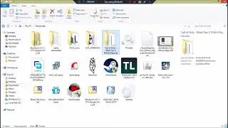 2018 Black Ops 2 Installation Tutorial Video | Fitgirl repack
