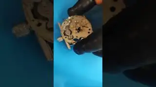 Alpine Pocket Watch Service: Disassembly