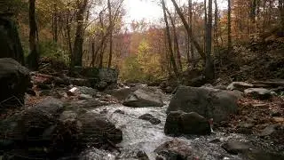 Beautiful Relaxing Piano Music for Inner Peace & Relaxation