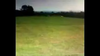 tap sim