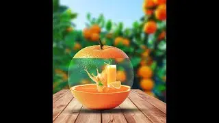 Creative Food Design Video