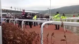 Runners in the Gold Cup parade including Carlingford Lough and Don Cossack..