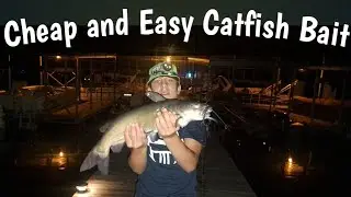 Best Catfish Bait Cheap and Easy Hotdogs and Cherry Kool-aid