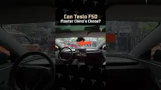 TESLA FSD TAKES ON CHINA'S CHAOS