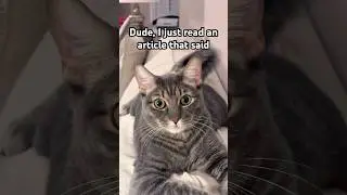 Live longer by doing this 😬#cat #funny #memes #shorts