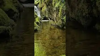 My swimming spot 🏊&zwj;♀️ #SuperVegan