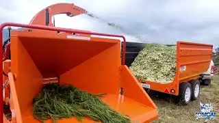 TOMCAT Model 4200 AFP Wood Chipper chipping Black Wattle trees producing 6 cubes in only 25 minutes!