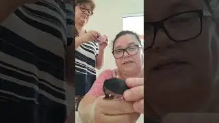 COMO CUIDAR DE GAMBÁS FILHOTES,  PRIMEIROS CUIDADOS