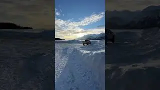 Haines, Alaska - Post snow storm dog walk - January 4, 2026