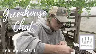 Greenhouse Chat February 2023