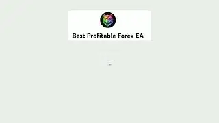 What is true ecn/stp forex brokers ?