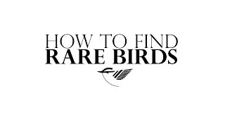How to find rare birds - Kenny Hessel (EN/FR subs)