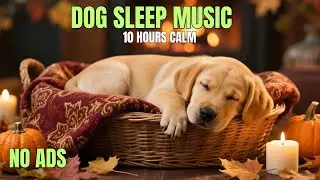 Dog Sleep Music: Say Goodbye to Stress, Hello to 10 Hours of Deep Sleep