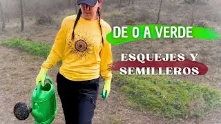#12 De Cero a Verde: Esquejes y Semilleros