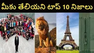 Top 10 Interesting Facts In Telugu | Top Interesting Facts Pr Facts Telugu