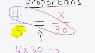 Priportions