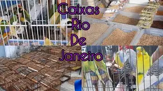 FEIRA DE CAXIAS, HOJE FOI TUDO DE BOM 👍