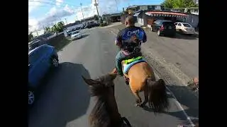 Empezamos el proceso de doma para la ruta del potro Zafiro 