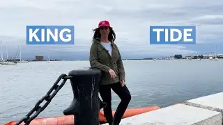 Boston Harbor floods with king tide, offering potential preview of life with climate change