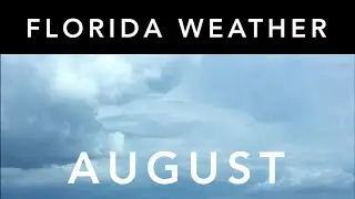 Florida Weather: August