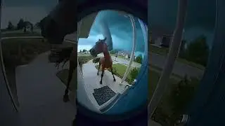 Horse Panics on Porch During Violent Tornado! #CCTV #TornadoStorm #HorseRescue #RingDoorbell #usa
