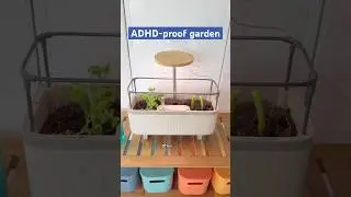 Let&rsquo;s make an ADHD-proof herb garden 🪴 #herbgarden #balconygarden #ADHD