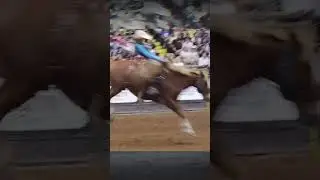 Allysa Spierings w/ 68 for 3rd, WRBO Women&rsquo;s Ranch Bronc Riding &zwnj; #rodeo #cowgirls