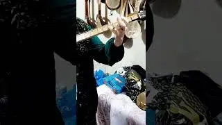 Купил бухарский рубаб! 