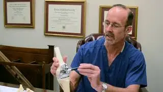 Dallas Orthopedic Surgeon - Lake Pointe Orthopaedics & Sports Medicine