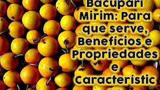 Bacupari Mirim: Para que serve, Benef&iacute;cios e Propriedades e Caracter&iacute;sticas