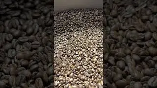 PROBAT Probatone 25 Coffee roaster