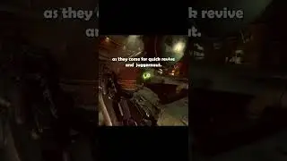STOP Losing Perks to Space Monkey! (BO3 Ascension Guide)