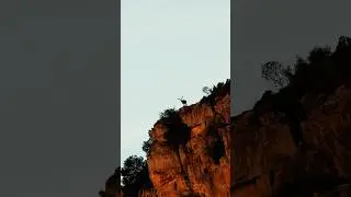Spain Hunting Season 2025 Begins | Camino Real Hunting Consultants