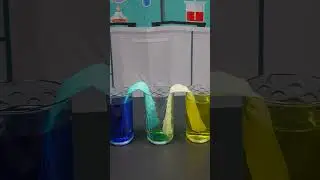 Walking Water #shorts  #education #scienceactivitiesforkids #sciencefactsforkids