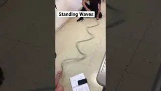 Standing Waves #physics