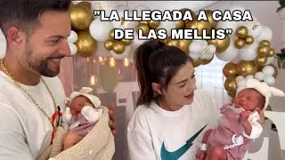 LA LLEGADA A CASA DE LAS MELLIS