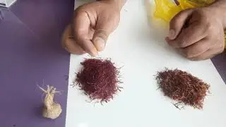 Difference between Mongra Saffron and Lacha Saffron.