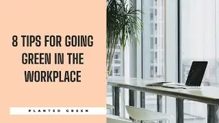 8 Tips for Going Green in the Workplace