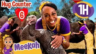 How Many Animals Can Meekah Hug? | Educational Videos for Kids | Blippi and Meekah Kids TV