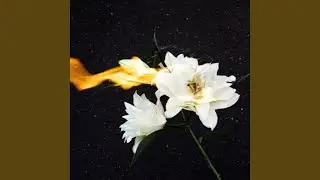 Read Me a Poem