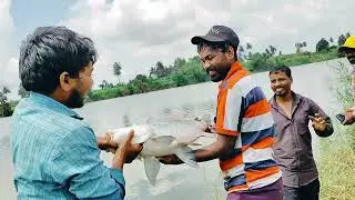 Big Size Katala Fish Hunting / Feeder Popup pe Fishing Amazing video 