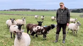 Government's U-Turn on IHT for Farmers, the Farming Profitability Review & how I became a farmer