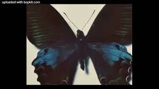 (FREE) Mexikodro x Lucki type beat 