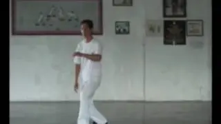 庄燕堂教练演练黄式太极长架