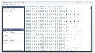 Dataescher HexEditor Product Demonstration